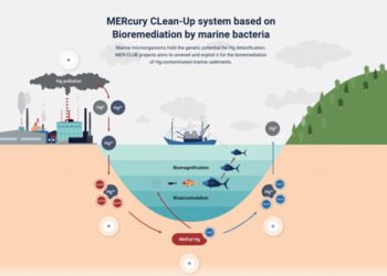 MER-CLUB per liberarsi del mercurio nei sedimenti marini