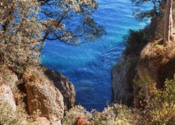 ONU, raggiunto accordo su protezione Oceani