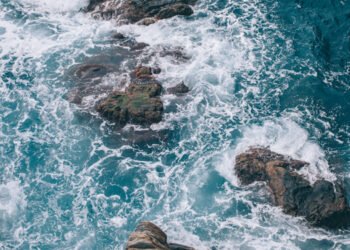 Our Ocean Conference: l'UE impegna 816,5 milioni di euro per proteggere l'oceano