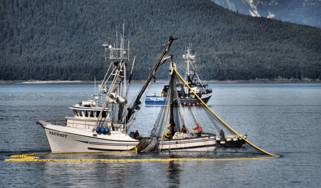 Prodotti ittici dell'Alaska, il top della sostenibilità