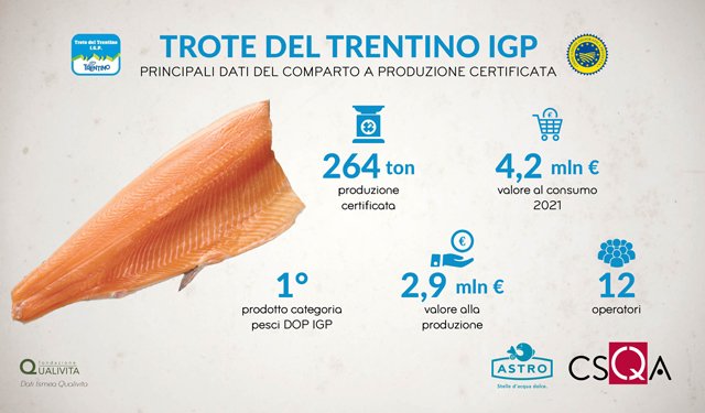 Trote del Trentino, la filiera IGP supera i 4 milioni di euro di valore
