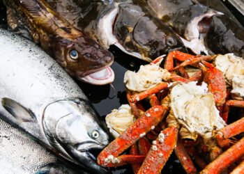 ASMI guarda a sud-est asiatico e America Latina