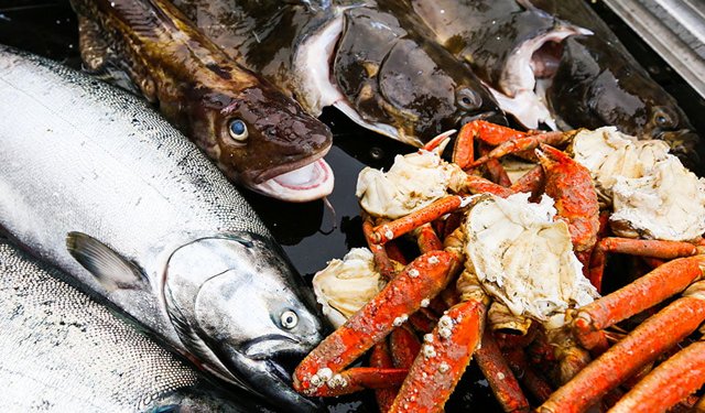 ASMI guarda a sud-est asiatico e America Latina