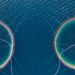 Cresce il mercato globale delle attrezzature per acquacoltura