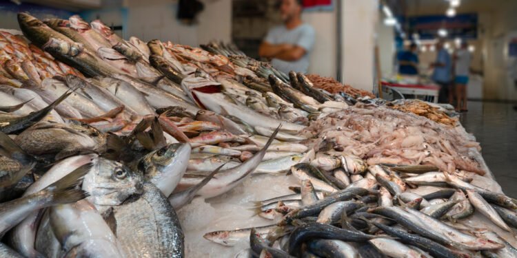 Pasqua: Coldiretti/Ixè, pesce a tavola per 58% famiglie