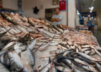 Pasqua: Coldiretti/Ixè, pesce a tavola per 58% famiglie