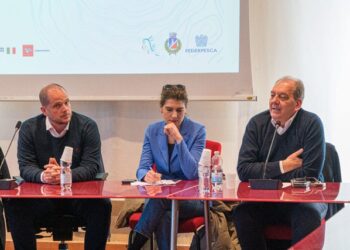 Federpesca a San Vincenzo per valorizzazione pesce azzurro