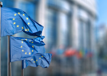 La bussola. Il settore della pesca nell’ambito delle competenze della UE