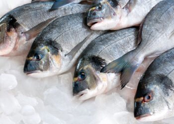 L'orata è il pesce più acquistato dagli italiani