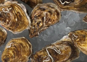 Ostriche di Goro alleate di salute e ambiente