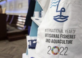 Risultati concreti per l'Anno internazionale della pesca e dell'acquacoltura artigianale