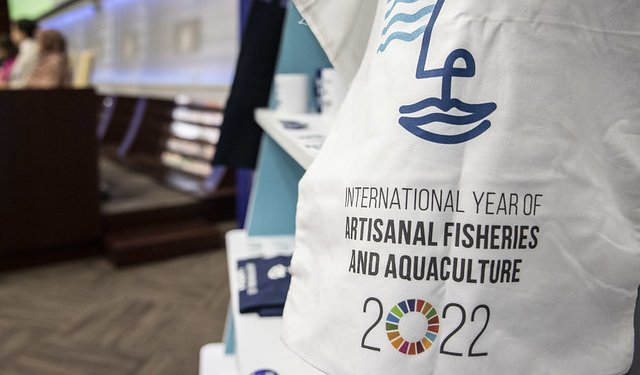 Risultati concreti per l'Anno internazionale della pesca e dell'acquacoltura artigianale