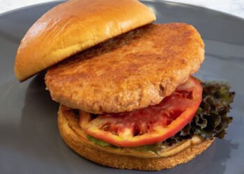 The ISH Company lancia l'hamburger di salmone vegetale