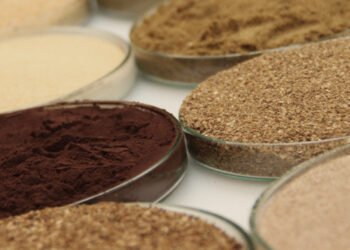 L'aggiunta di lievito al mangime promuove la risposta immunitaria dei pesci