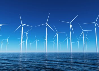 Coltivazione di alghe nei parchi eolici off shore