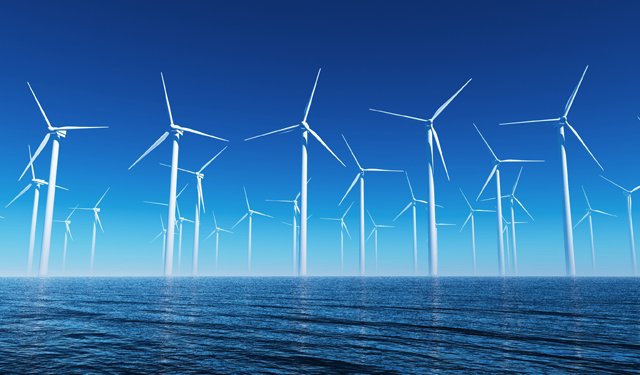 Coltivazione di alghe nei parchi eolici off shore