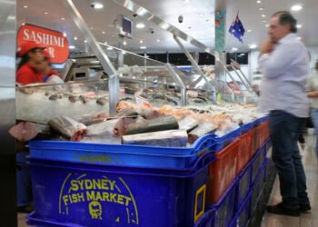 Cresce l'industria dell'acquacoltura in Australia