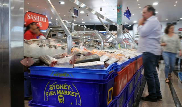 Cresce l'industria dell'acquacoltura in Australia