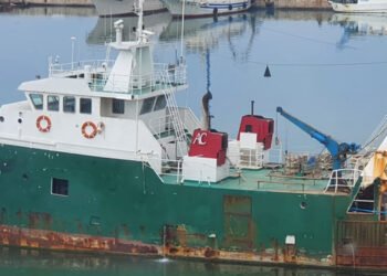 Federpesca audita alla camera sul piano d’azione marino