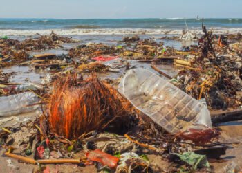 Il WWF chiede un divieto globale della plastica monouso