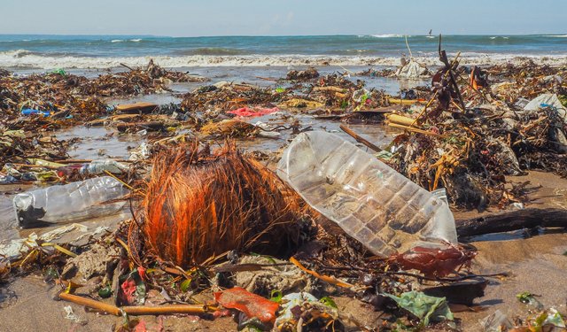Il WWF chiede un divieto globale della plastica monouso