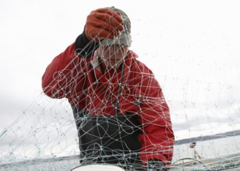 La bussola. La sfida dell’Ue per il ricambio generazionale nel settore della pesca