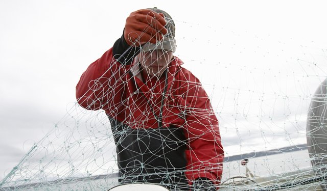 La bussola. La sfida dell’Ue per il ricambio generazionale nel settore della pesca