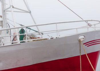 Nuovo sito web sulle autorizzazioni di pesca dell'UE