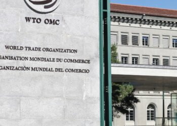 OMC: il Consiglio approva un accordo sui sussidi alla pesca