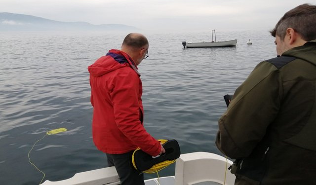 Oltre 5.000 piccoli carpioni immessi nel lago di Garda