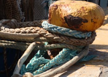 Blue Sea Land, una tappa importante per il progetto Blockchain Marenostrum