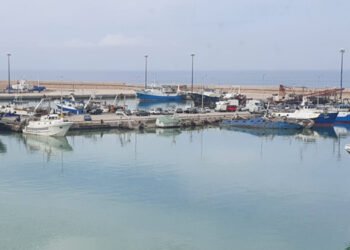 Piano d'Azione pesca: l'Alleanza ribadisce il proprio no