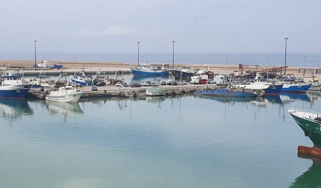 Piano d'Azione pesca: l'Alleanza ribadisce il proprio no