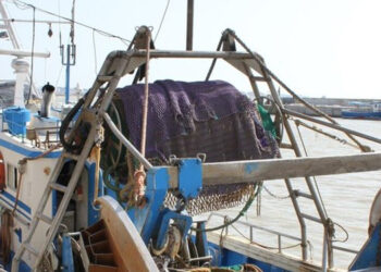 Pescatori ed operatori del comparto ittico a confronto