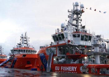 Tonno rosso. L'EFCA rafforza campagna di controllo