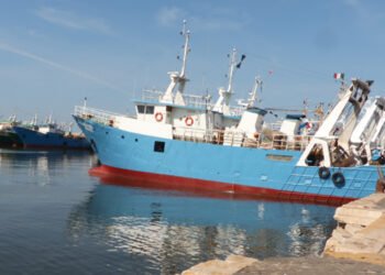 Pesca, condivisibile il ricorso dell'Italia sul Regolamento UE Controlli