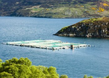 ASC, nel Regno Unito cresce il numero di aziende certificate