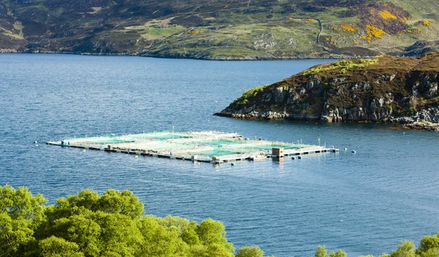 ASC, nel Regno Unito cresce il numero di aziende certificate