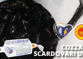 Arriva sulle tavole la Cozza di Scardovari DOP 