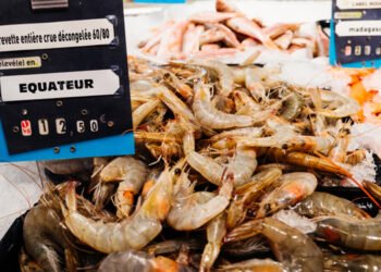 Crisi nel mercato del gambero in Ecuador