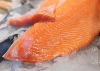 Esportazioni di salmone norvegese in calo nell'UE