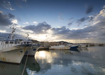 Federpesca audita alla camera sul piano d’azione marino
