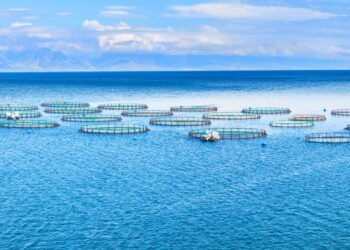L'acquacoltura globale vulnerabile ai cambiamenti ambientali