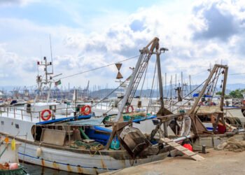 Le nuove regole pesca devono essere armonizzate e praticabili