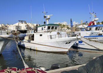 Lega Pe: bene Italia su pacchetto pesca Ue, difendere nostri pescatori