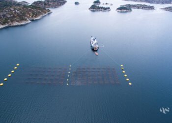 Memorandum d'intesa per Simply Blue Group e Arctic Seaweed