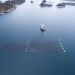 Memorandum d'intesa per Simply Blue Group e Arctic Seaweed