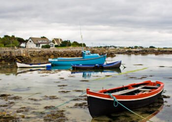 Nuova strategia per sviluppo settore alghe in Irlanda