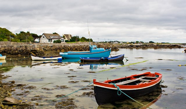 Nuova strategia per sviluppo settore alghe in Irlanda