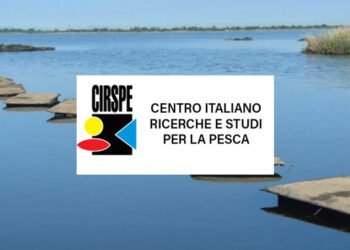 Ostriche: il progetto per mitigare gli ostacoli e incrementarne l’allevamento